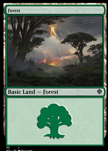 Forest