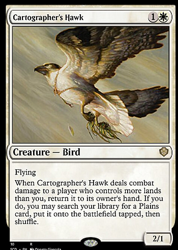 Cartographer's Hawk