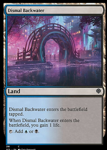 Dismal Backwater