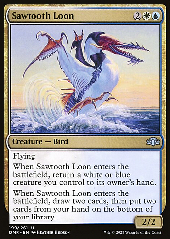 Sawtooth Loon