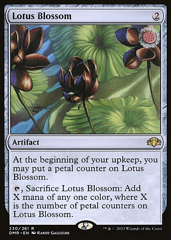 Lotus Blossom