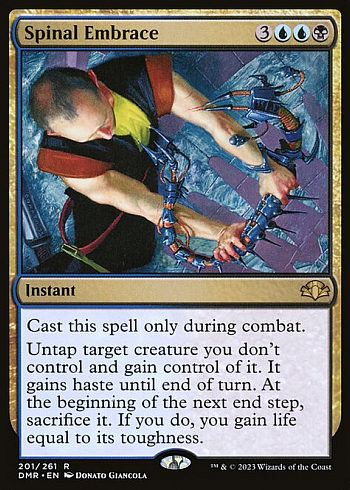 Spinal Embrace
