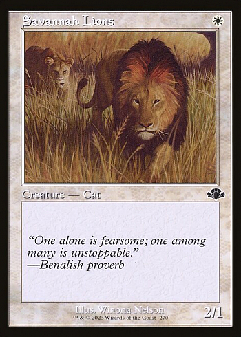 Savannah Lions
