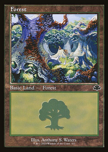 Forest