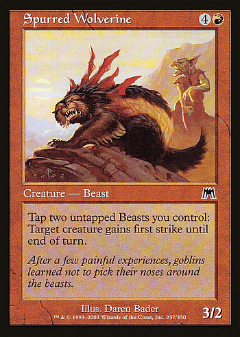 Spurred Wolverine