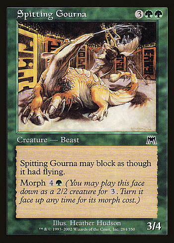 Spitting Gourna