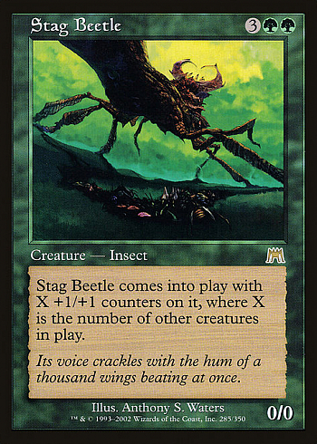 Stag Beetle