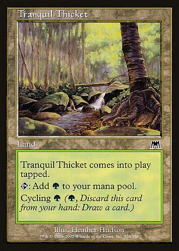 Tranquil Thicket