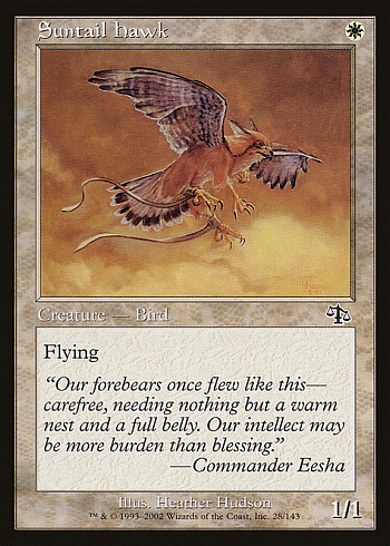 Suntail Hawk