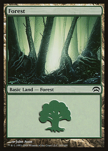 Forest