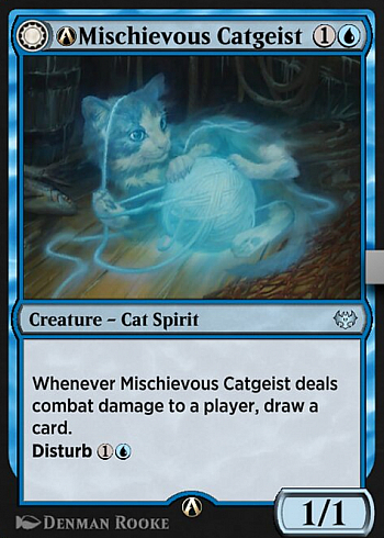 A-Mischievous Catgeist // A-Catlike Curiosity