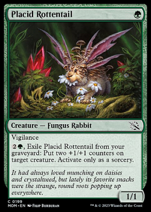 Placid Rottentail