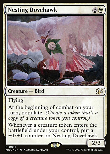 Nesting Dovehawk