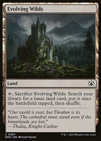 Evolving Wilds