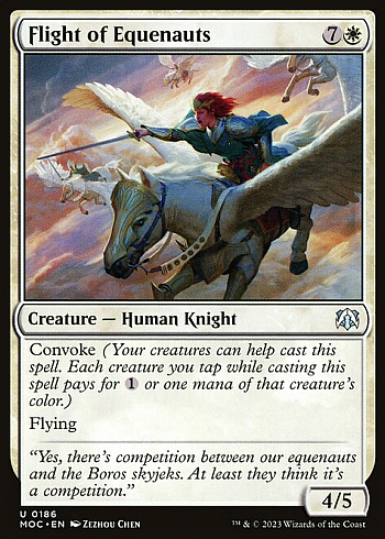 Flight of Equenauts