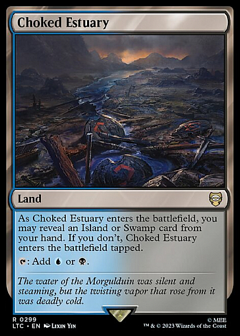 Choked Estuary