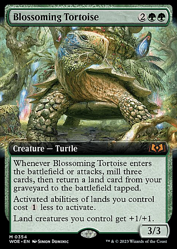 Blossoming Tortoise