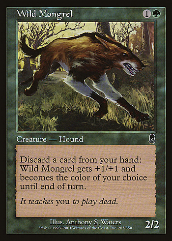 Wild Mongrel