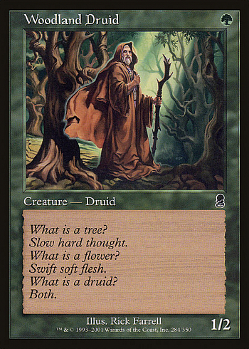 Woodland Druid