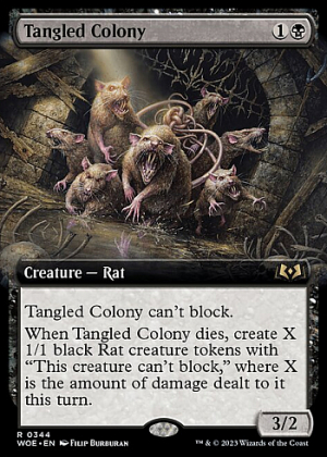 Tangled Colony