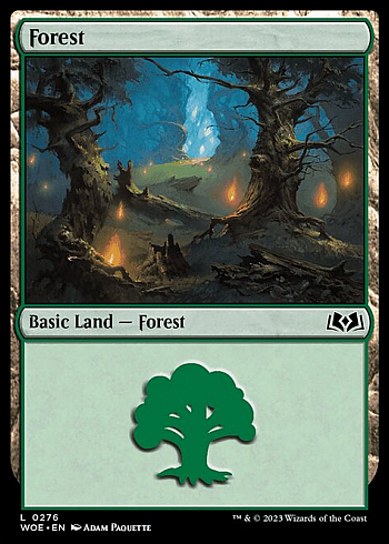 Forest
