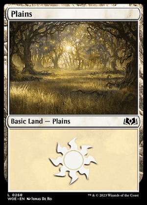 Plains