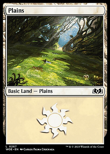 Plains