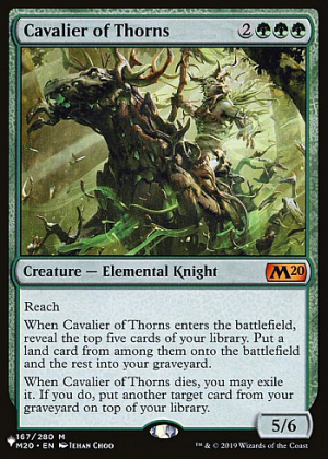 Cavalier of Thorns