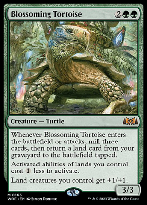 Blossoming Tortoise