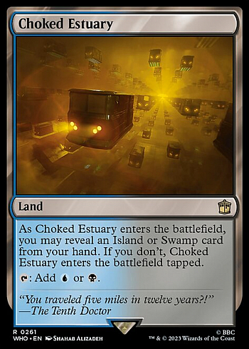 Choked Estuary
