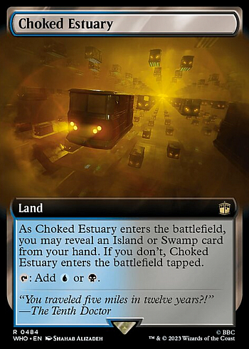 Choked Estuary