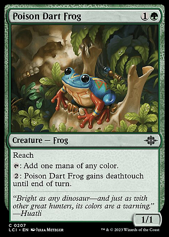 Poison Dart Frog