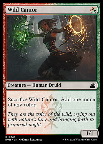 Wild Cantor